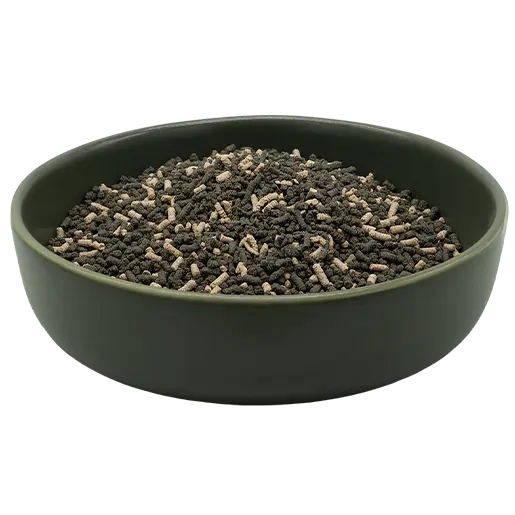 REiCO Darm Balance+