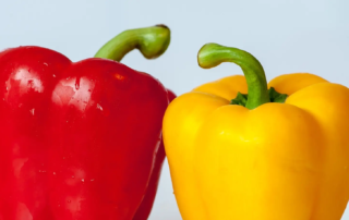 Dürfen Hunde Paprika essen? Licht- und Schattenseiten einer Frucht