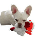 Betty_Bürohünding-modified