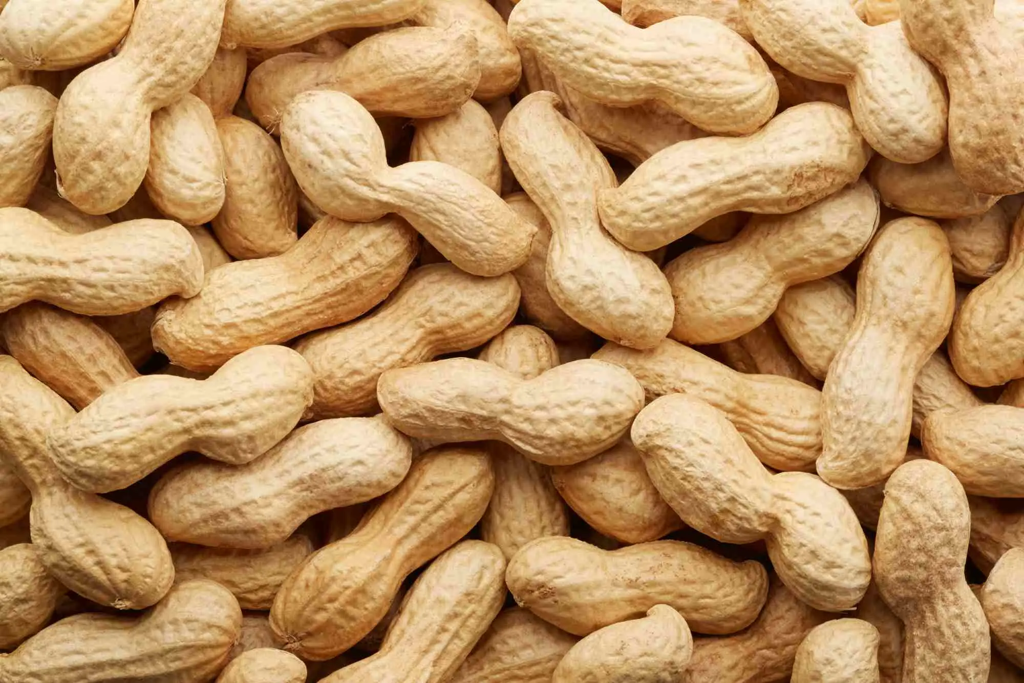 DĂŒrfen Hunde ErdnĂŒsse essen