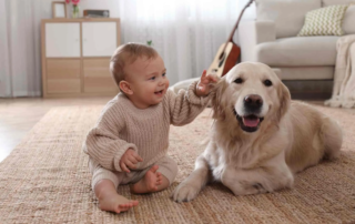 Hund und Baby - so gelingt das Zusammenleben
