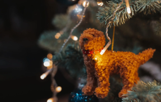 Änderungen für Hundehalter 2026