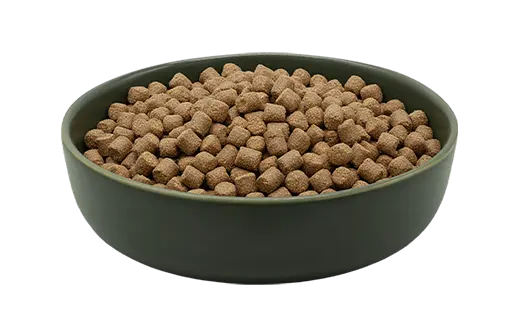 Reico Trockenfutter