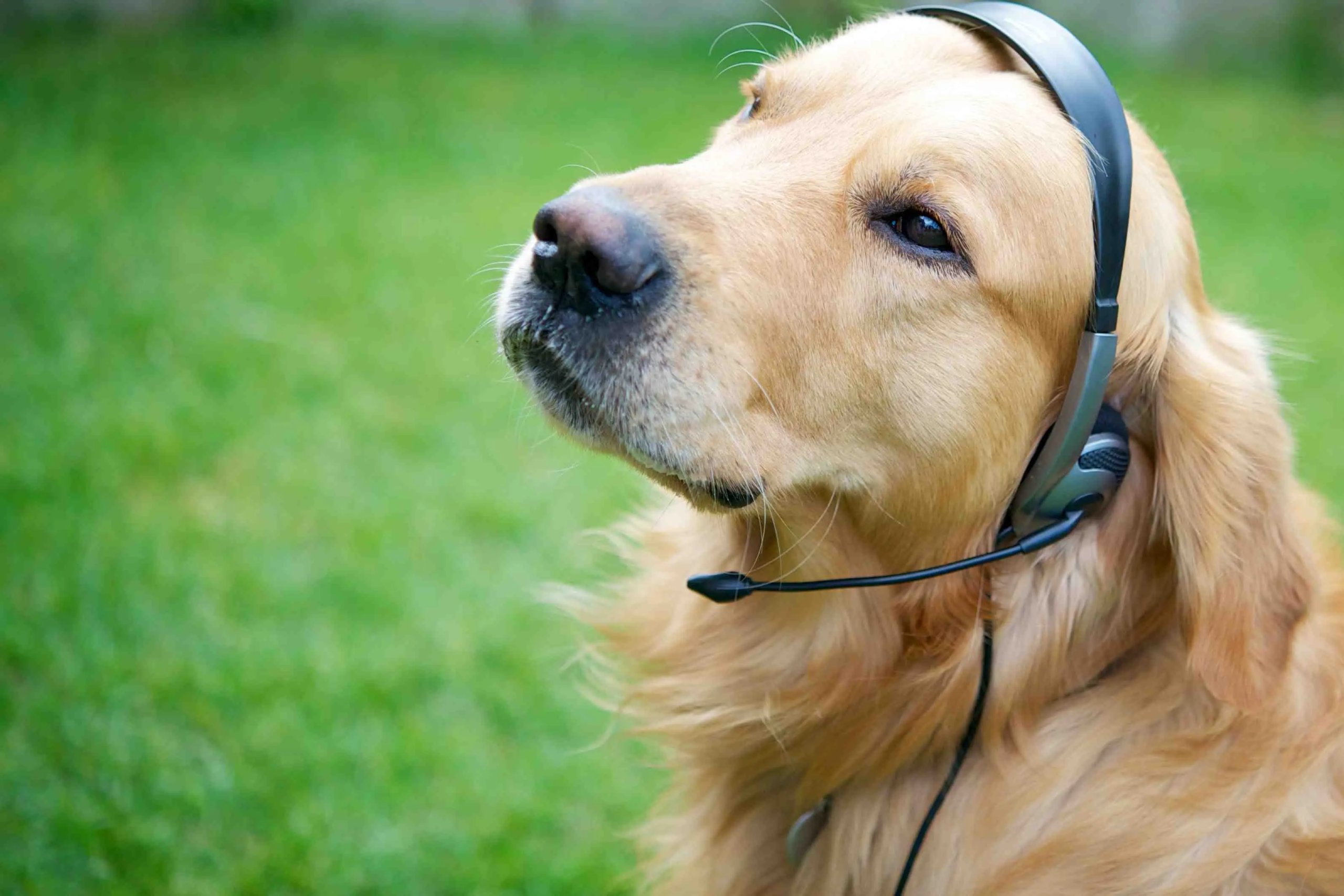 Warum unsere Futterberatung so wertvoll ist