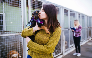 Hund adoptieren