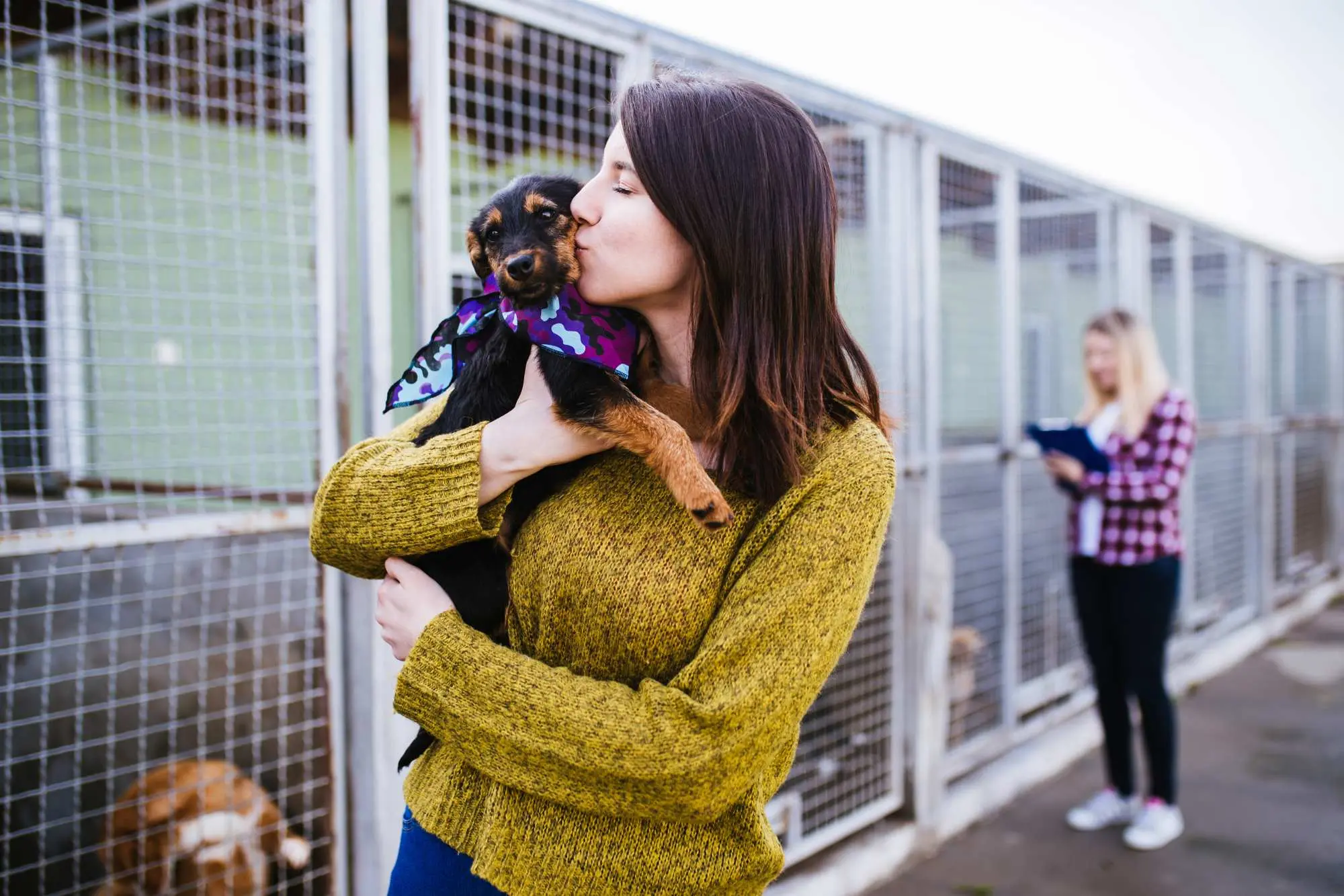 Hund adoptieren
